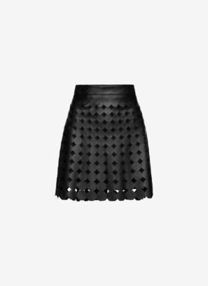 Mini A-Line Skirt
